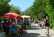 2016.06.10. TSV Flohmarkt - KF_WEB.JPG
